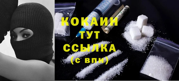 крисы Аша