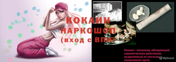 стафф Нефтекумск