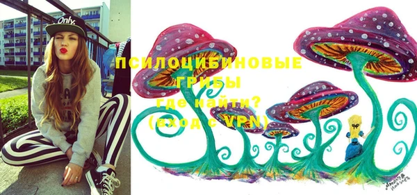 стафф Нефтекумск