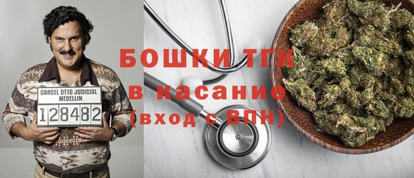 индика Северо-Курильск