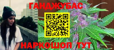 шишки Заволжье