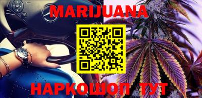 шишки Заволжье