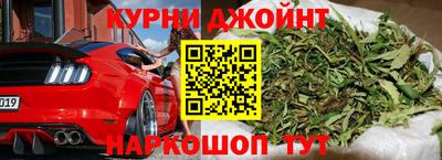 шишки Заволжье