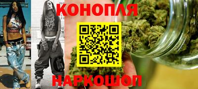 шишки Заволжье