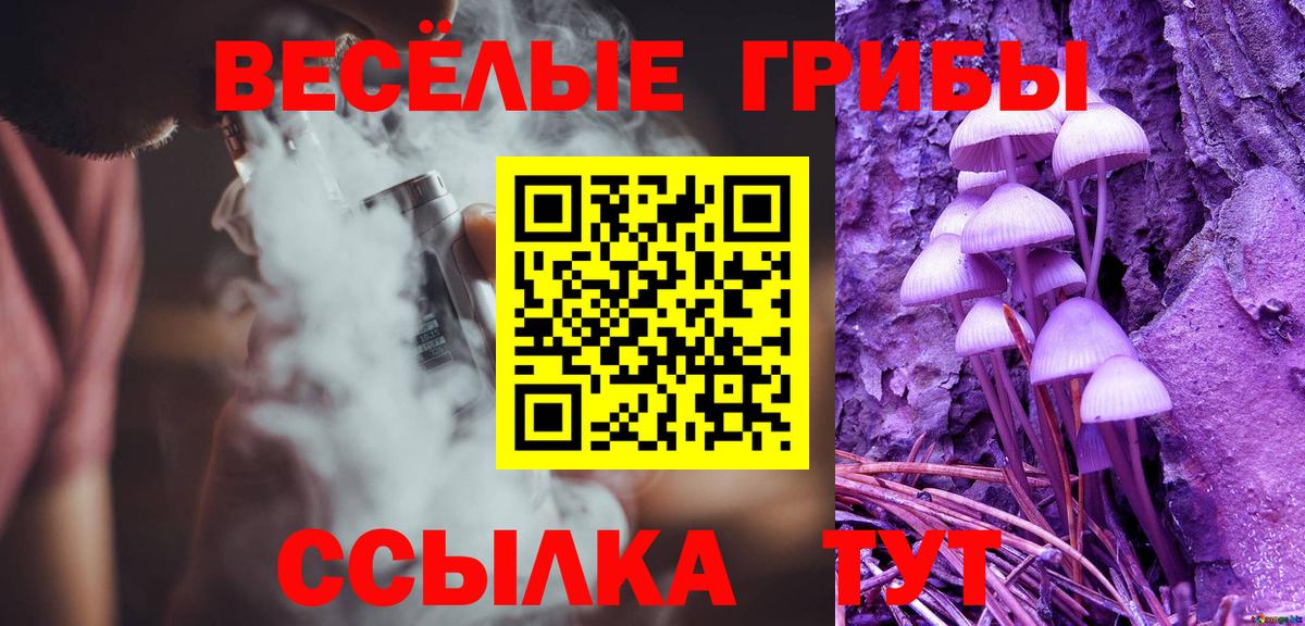 Псилоцибиновые грибы GOLDEN TEACHER  Вход с VPN  Биробиджан 